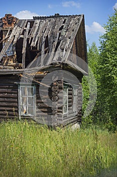 Old abandoned house, desolation. Forest grew around