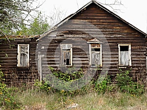 old abandoned house in a forest