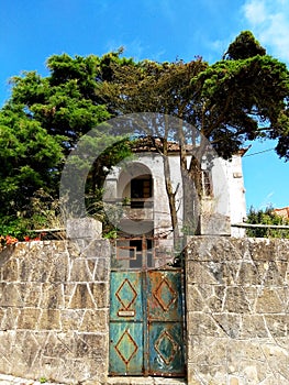 Old abandoned house overgrown with centuries-old trees, landscapes, Portugal