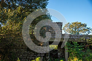 Old and abandoned house overgrown with vegetation