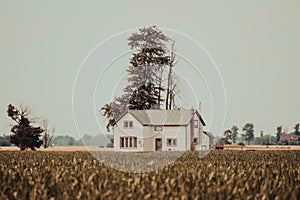 an old, abandoned house stands alone in a field of tall grass