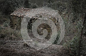 Old abandoned house in the woods