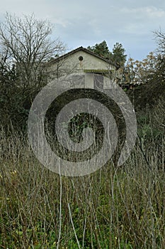 Old abandoned house in the woods