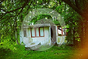 Old abandoned hut in the forest