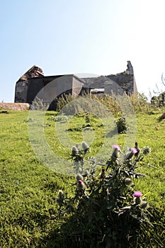 Old abandoned irish cottage ruin