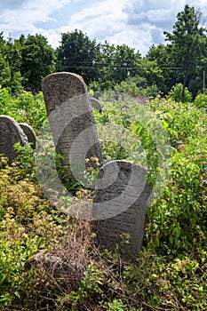 Old abandoned Jewish cemetery in Ukraine