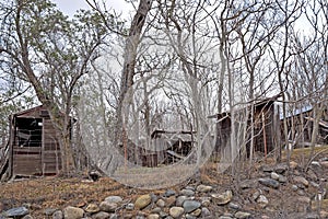 Old Abandoned Landscape in Red Hills California