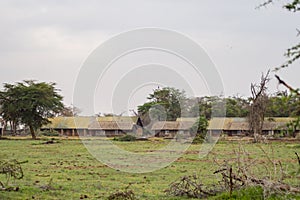 Old abandoned lodge in the savannah