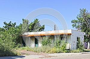 Old Abandoned Motel Units That Are Overgrown