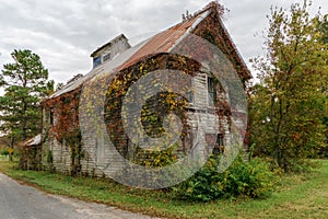 Old Abandoned and Overgrown House