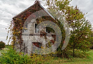 Old Abandoned and Overgrown House