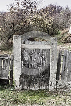 Old abandoned palisade garden door in Sic. Transylvania, Romania photo