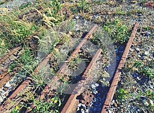 Old abandoned rail and bolt of a railway. Rusty train railway