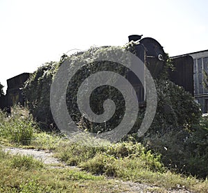 Old abandoned railroad car covered with leaves