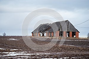 Old abandoned red brick building in a rural area with a collapsed wooden roof and cracked bricks. a cereal field and a blue sky