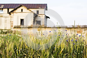 Old, abandoned, ruined house