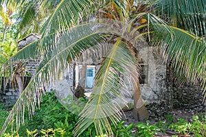 Old abandoned ruined house under palm tree in the village at tropical island