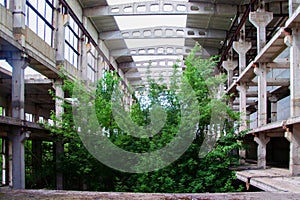 Old abandoned ruined industrial building overgrown by plants and trees