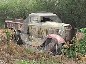 Old abandoned rusty farm truck in bush.