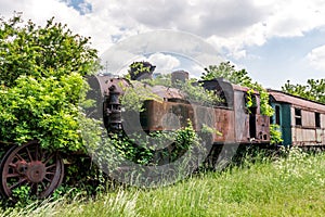 An old abandoned and rusty steam locomotive overgrown with branches and green bushes standing on an unused railway