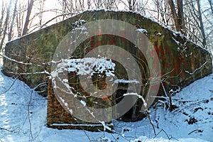 Abandoned Seed Storage