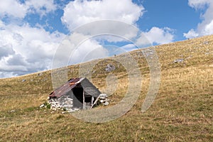 Old abandoned shepherd\'s hut in middle of pasture on slope of Vlasic mountain