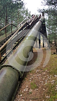 Old abandoned stairs.