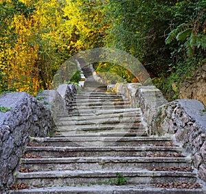 Old abandoned stairs going up to forest, Ulia mount photo