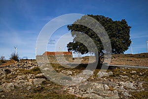 Old abandoned stone house