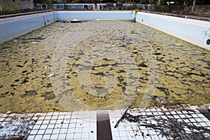 Old abandoned swimming pool
