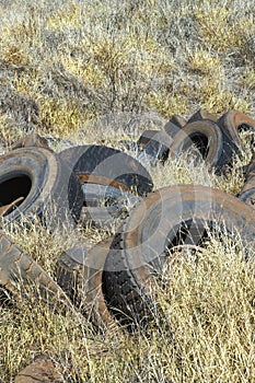 Old abandoned tires in field.