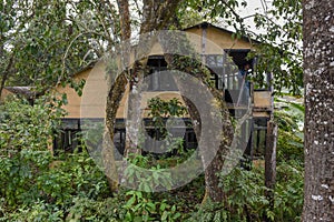 Old abandoned tourist resort in the jungle of Chitwan national park, Nepal