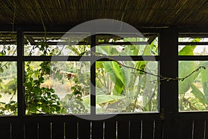 Old abandoned tourist resort in the jungle of Chitwan national park, Nepal