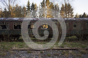 Old abandoned trains