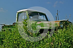 Old Abandoned Truck in the Long Grass