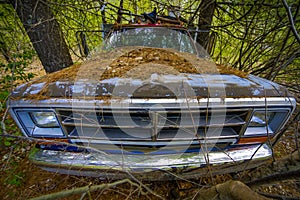 Old Abandoned Truck in Woods