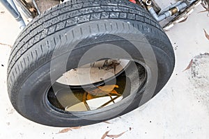 Old abandoned tyre with still water from rain condusive place for aedes mosquito breeding. Selective focus on water.