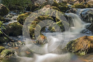 Old, abandoned water mill with water streams and little waterfalls