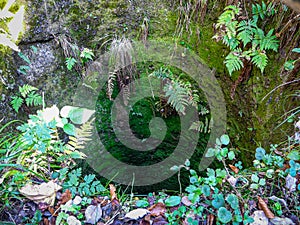 An old abandoned well of the Fortress of Tustan