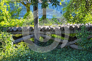 Old abandoned wooden bridge in the forest green vines covered