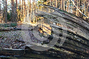 Old abandoned wooden fishing boat in the forest. Boat cemetery