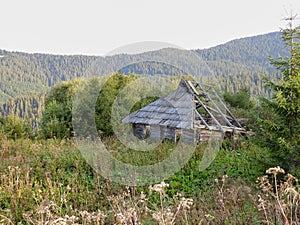 Old abandoned wooden hostel for loggers photo