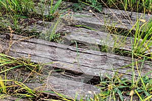 Old abandoned wooden path close-up
