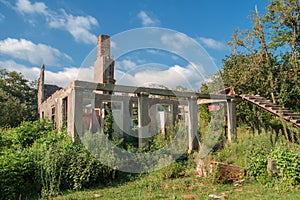 Old abandoned wrecked house in the field overgrown with ivy and plants