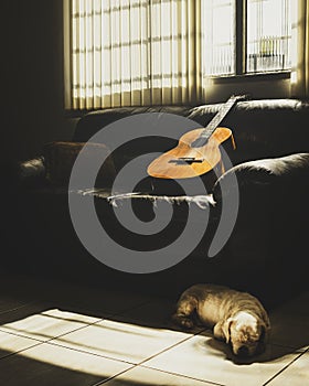 Old acoustic guitar leaning on the sofa and a dog on the floor