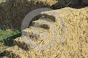 Old adobe wall closeup in sunny day