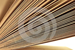 Old aged book pages close up