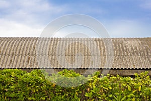 Old aged dangerous roof made of corrugated asbestos panels with curved panels - one of the most dangerous materials in buildings