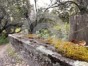 Old aged distressed dirty fence cover with green moss