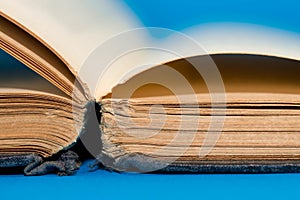 Old, aged empty book pages close up macro shot